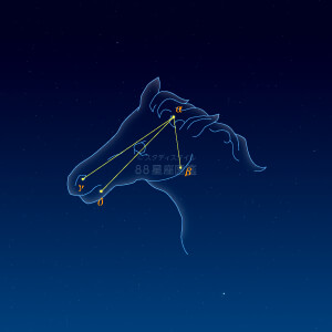 こうま座イラスト（天体情報入）