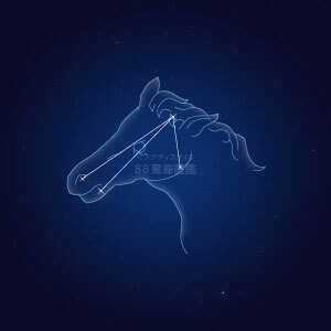 こうま座イラスト