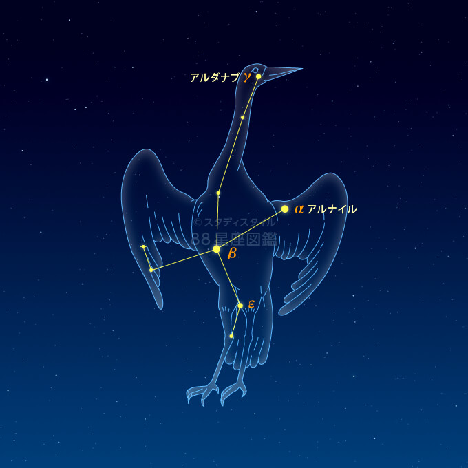 つる座イラスト