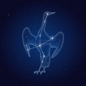 つる座イラスト