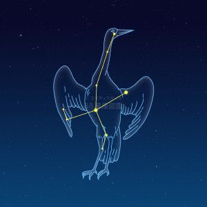 つる座 星座図鑑