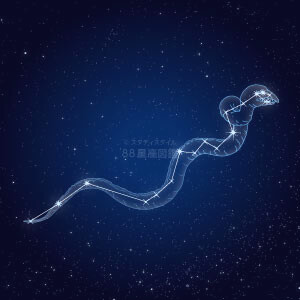 うみへび座イラスト