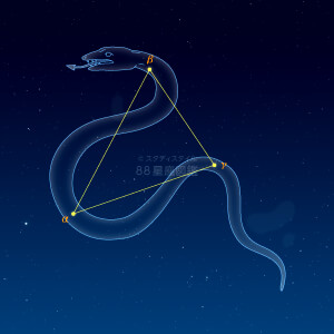 みずへび座イラスト（天体情報入）