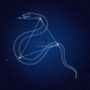 みずへび座イラスト