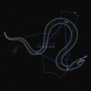 みずへび座イラスト（20時正中時の星空）