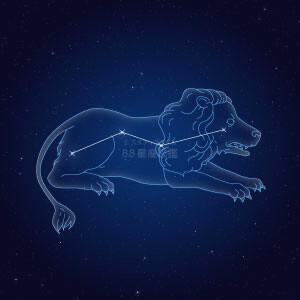 こじし座イラスト