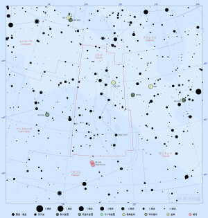とかげ座の星図