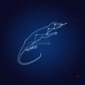 とかげ座イラスト