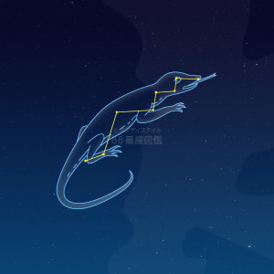 とかげ座 星座図鑑 とかげ座 星座図鑑