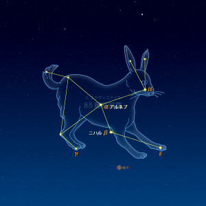 うさぎ座イラスト（天体情報入）