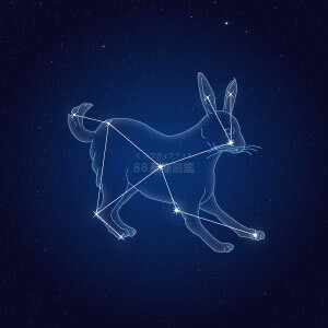 うさぎ座イラスト