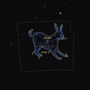 うさぎ座イラスト（20時正中時の星空）