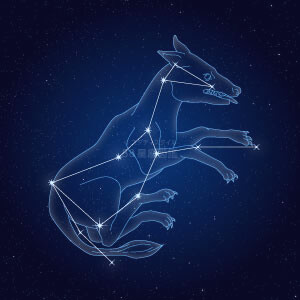 おおかみ座イラスト