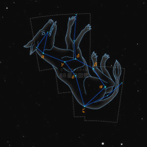 おおかみ座イラスト（20時正中時の星空）