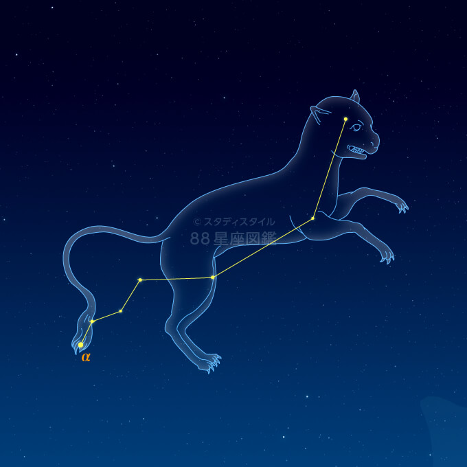 やまねこ座イラスト