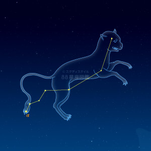 やまねこ座イラスト（天体情報入）