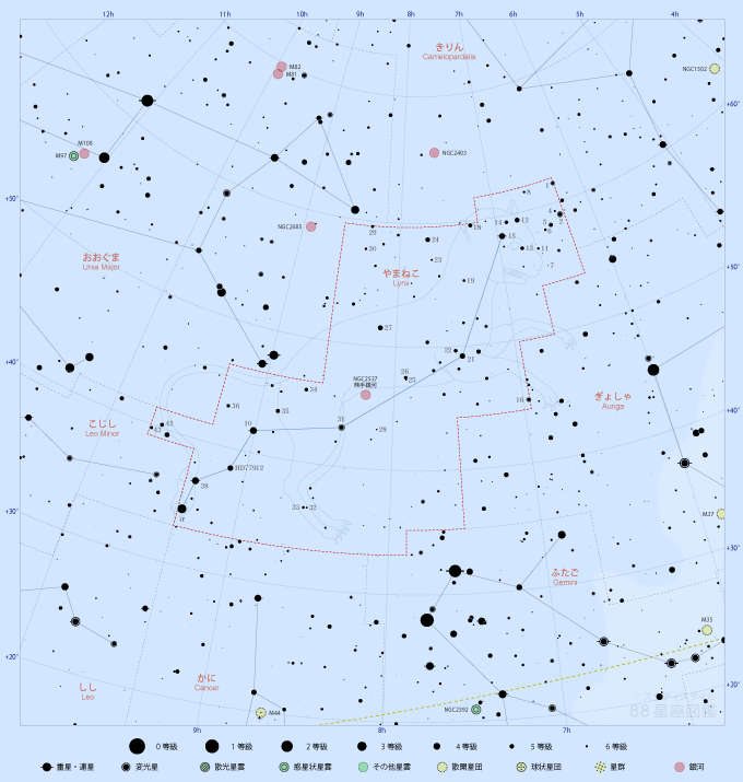 やまねこ座の星図