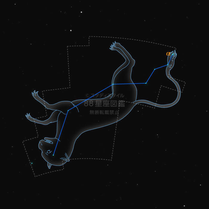 やまねこ座概略図
