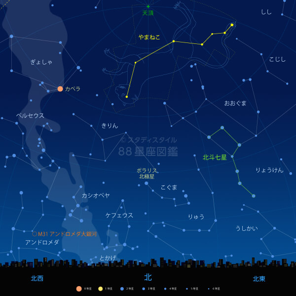 やまねこ座の見つけ方（東京の星空）