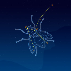 はえ座イラスト（天体情報入）