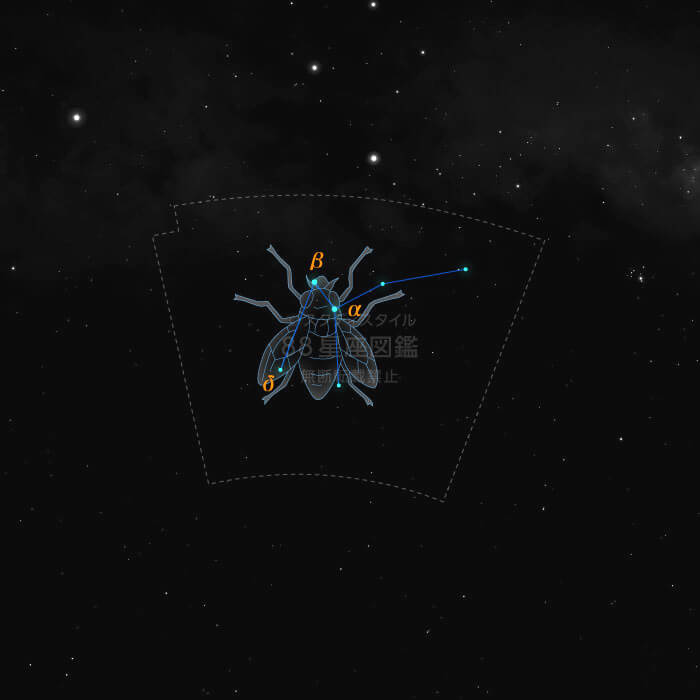 はえ座カラー星図|やさしい88星座図鑑