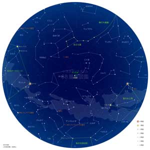 北天の星座（白背景）