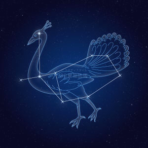 くじゃく座イラスト