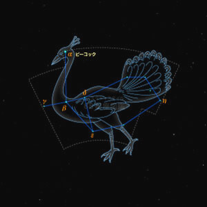 くじゃく座イラスト（20時正中時の星空）