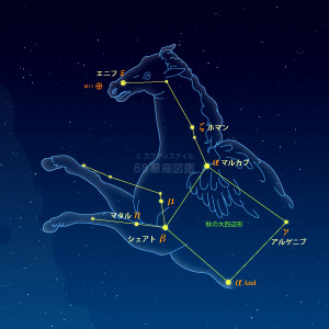 ペガスス座イラスト（天体情報入）