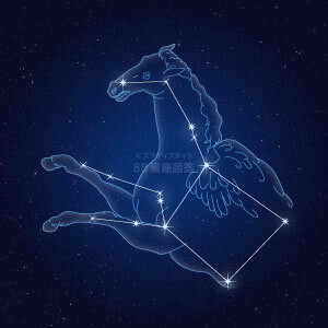 ペガスス座イラスト