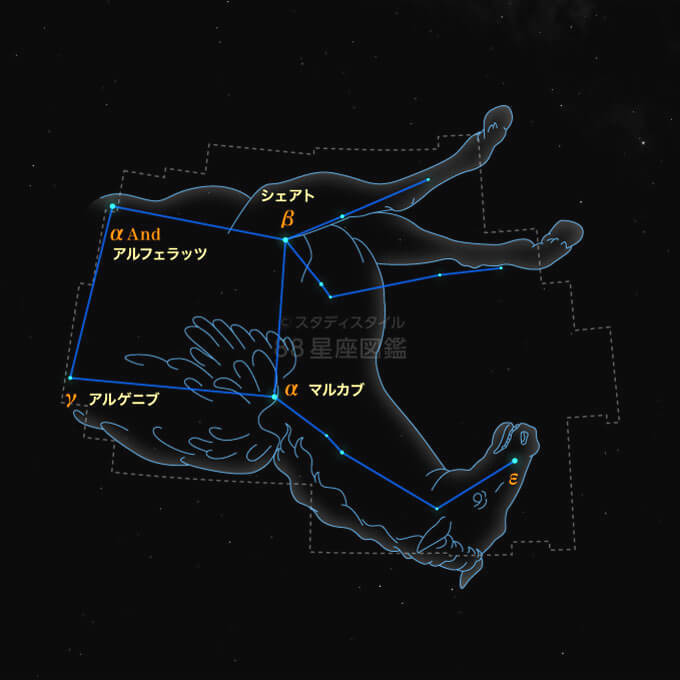 ペガスス座｜やさしい88星座図鑑
