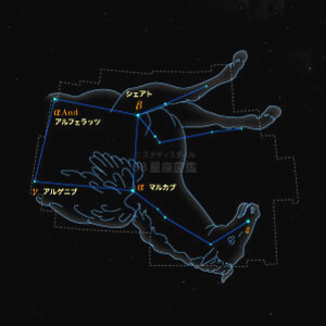 ペガスス座イラスト（20時正中時の星空）