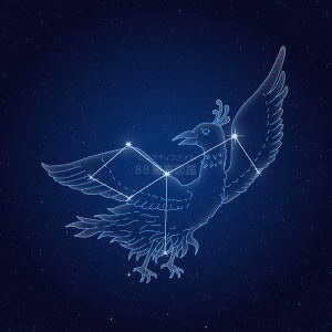 ほうおう座イラスト