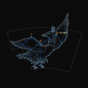 ほうおう座イラスト（20時正中時の星空）