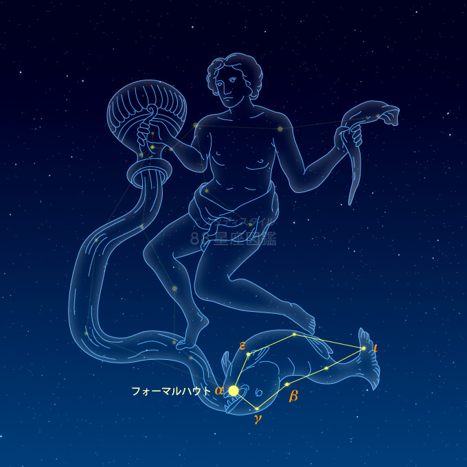 みなみのうお座 星座図鑑 みなみのうお座 星座図鑑
