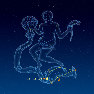 みなみのうお座イラスト（天体情報入）