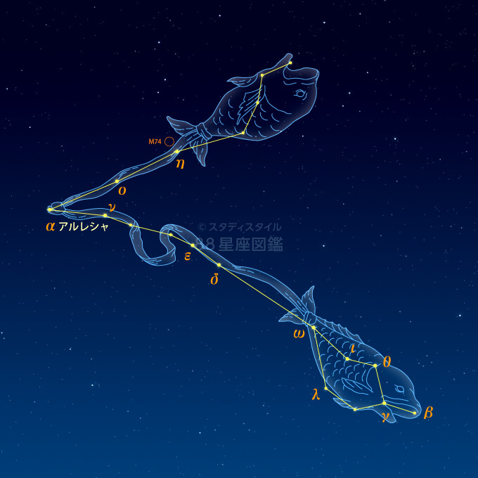 うお座 星座図鑑 うお座 星座図鑑