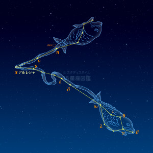 うお座イラスト（天体情報入）
