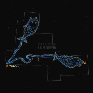 うお座イラスト（20時正中時の星空）