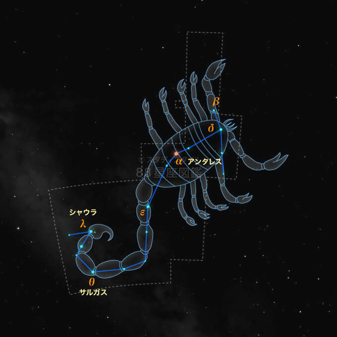 蠍座(星座と誕生日、性格、運勢)|12星座図鑑