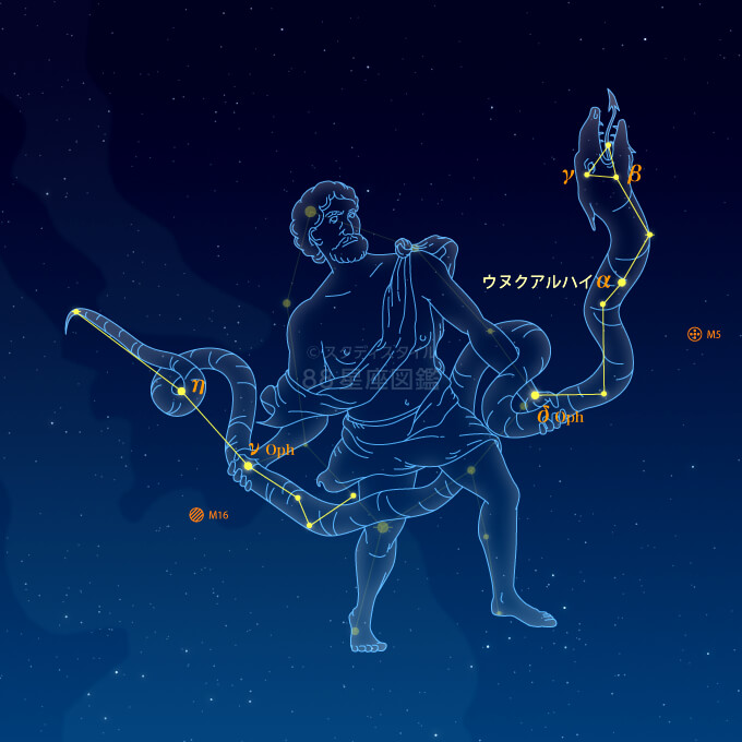 へび座イラスト