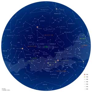星図：南天の星座（白背景）