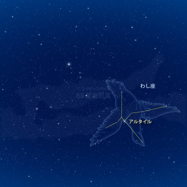 夏の大三角とわし座のアルタイル