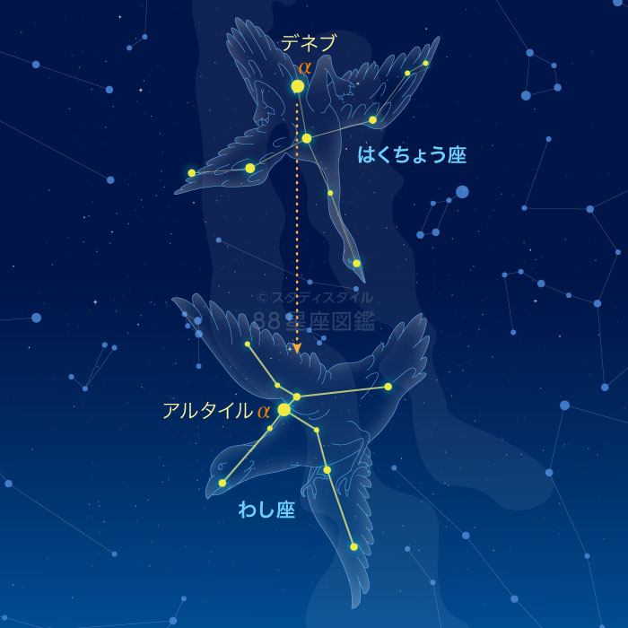 わし座の探し方