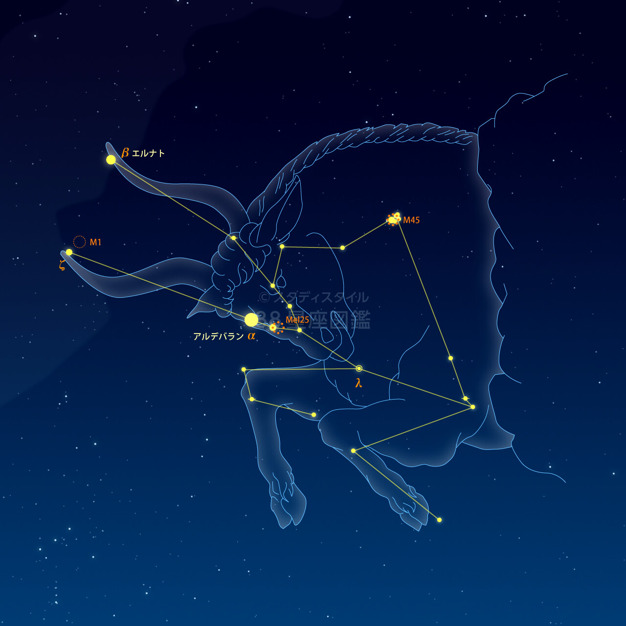 おうし座 牡牛座 12星座図鑑
