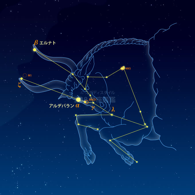 おうし座 牡牛座 12星座図鑑 おうし座 牡牛座 12星座図鑑