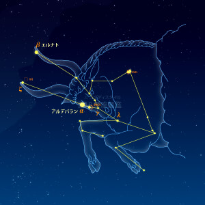 おうし座イラスト（天体情報入）