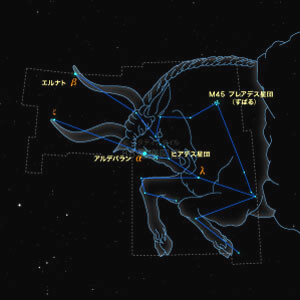 おうし座イラスト（20時正中時の星空）