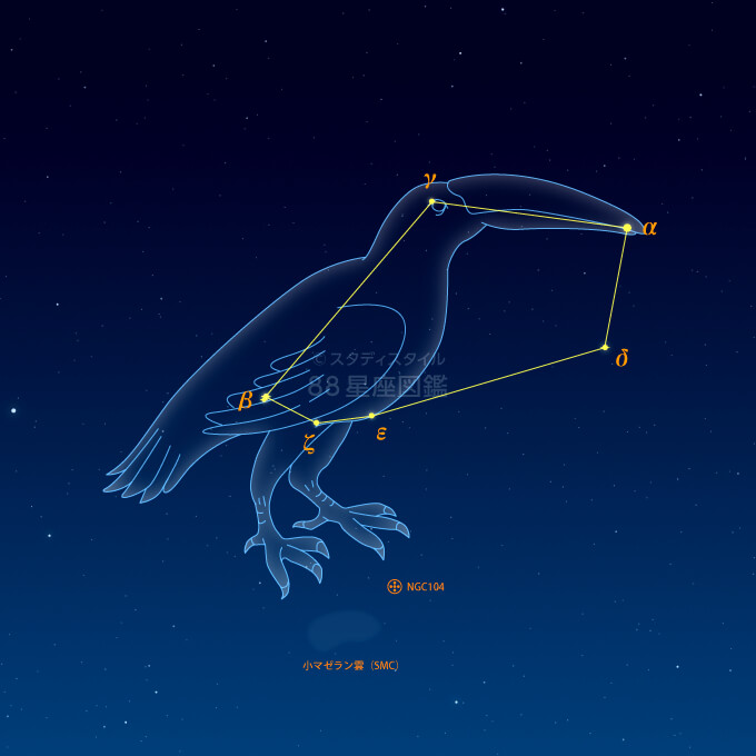 きょしちょう座イラスト