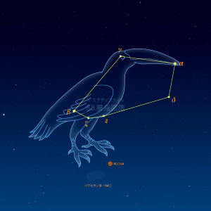 きょしちょう座イラスト（天体情報入）